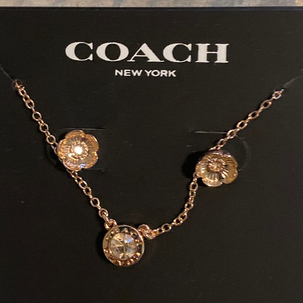 Coach necklace and earrings